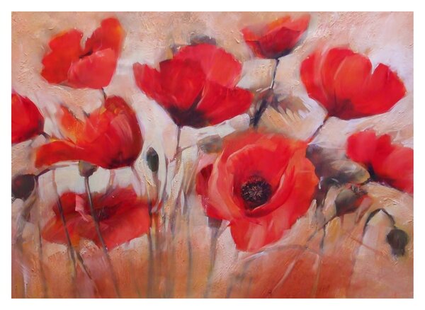 Obraz - Vlčí máky (70x50 cm)
