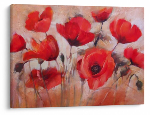Obraz - Vlčí máky (70x50 cm)