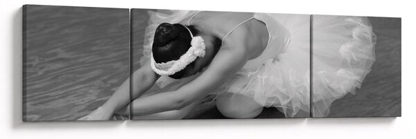 Obraz - Baletka, černobílá (170x50 cm)