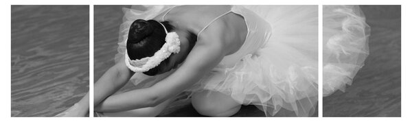 Obraz - Baletka, černobílá (170x50 cm)
