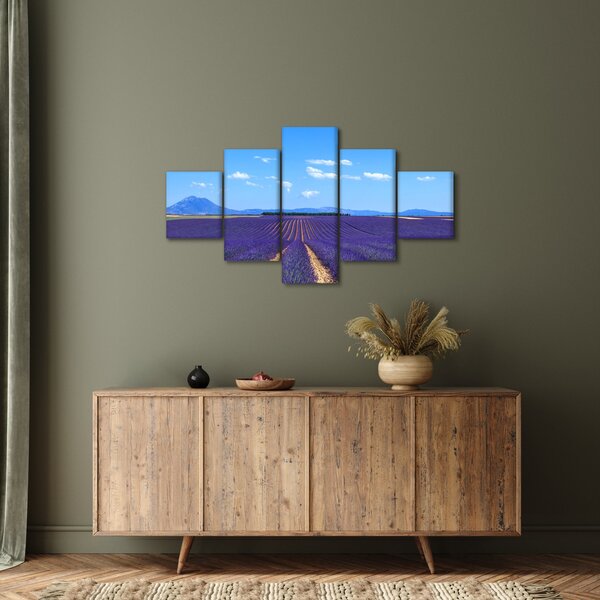 Obraz - Levandulové pole (125x70 cm)