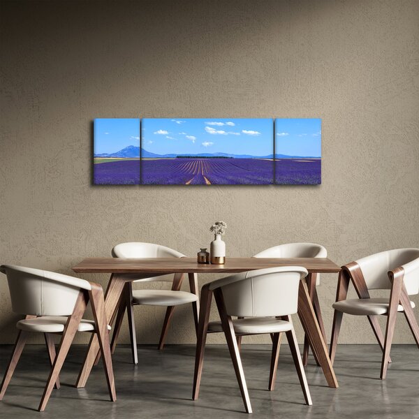Obraz - Levandulové pole (170x50 cm)