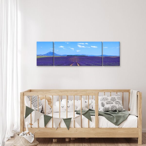 Obraz - Levandulové pole (170x50 cm)