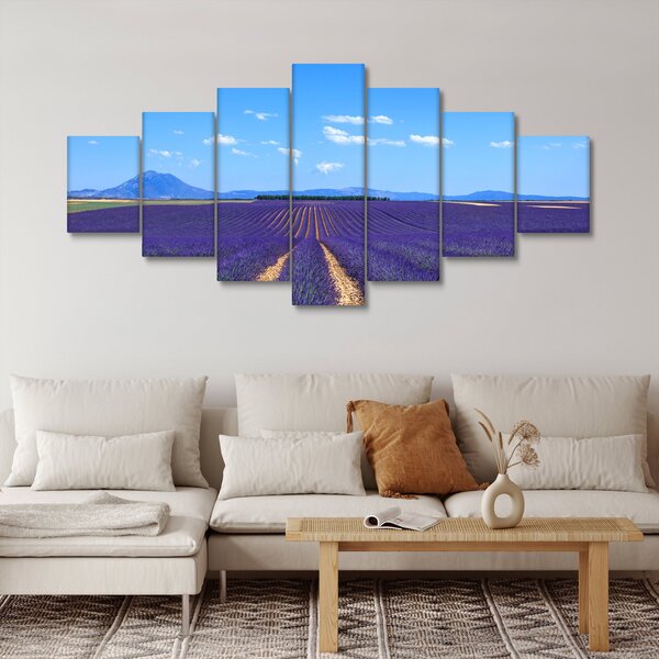 Obraz - Levandulové pole (210x100 cm)