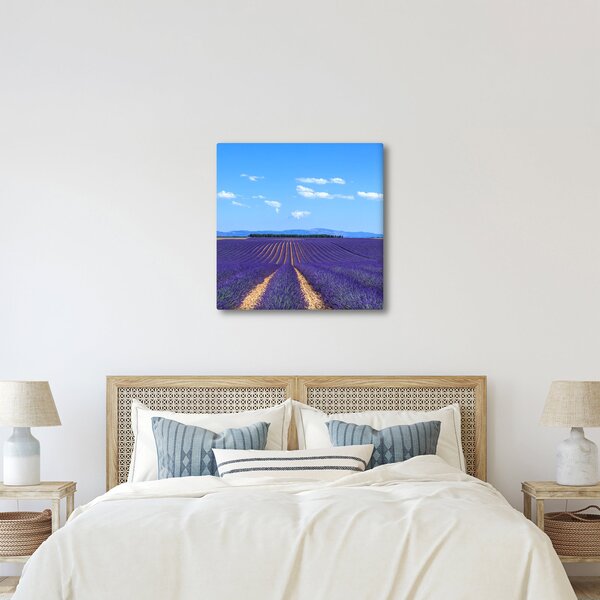 Obraz - Levandulové pole (30x30 cm)