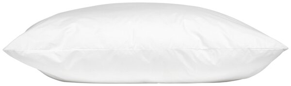 POLŠTÁŘ POD HLAVU, 80/80 cm - Polštáře pod hlavu, Online Only