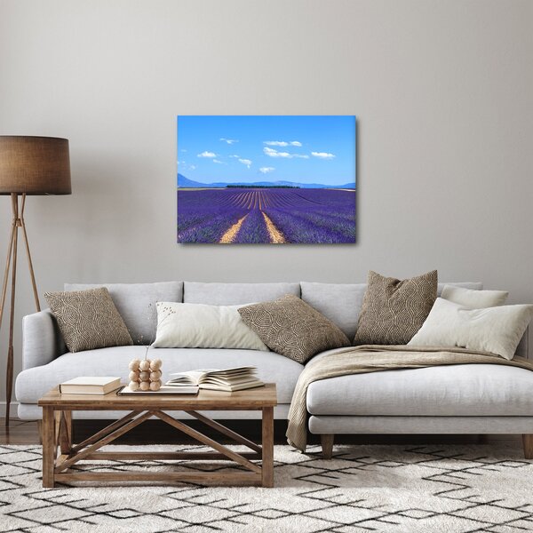 Obraz - Levandulové pole (70x50 cm)