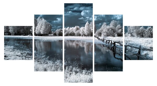 Obraz - Zamrzlá krajina (125x70 cm)