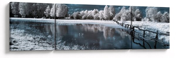 Obraz - Zamrzlá krajina (170x50 cm)