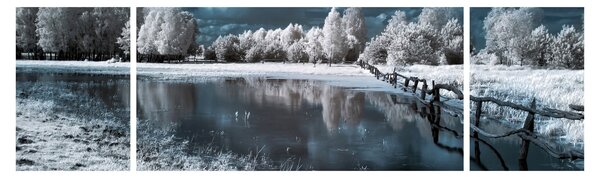 Obraz - Zamrzlá krajina (170x50 cm)