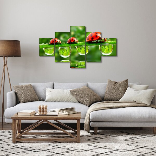 Obraz - Slunéčko sedmitečné (125x70 cm)