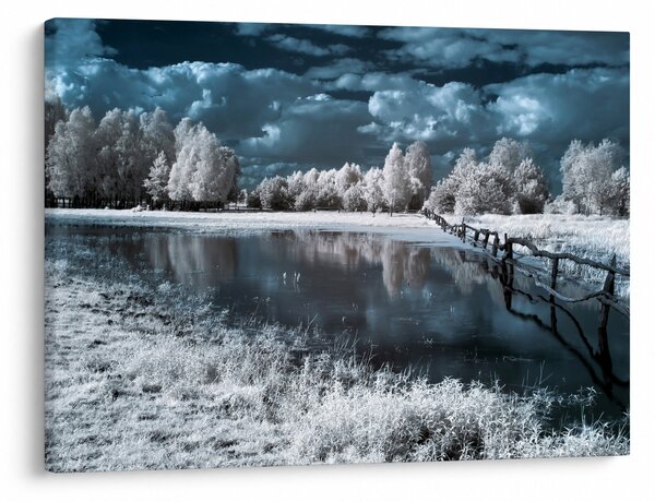 Obraz - Zamrzlá krajina (70x50 cm)