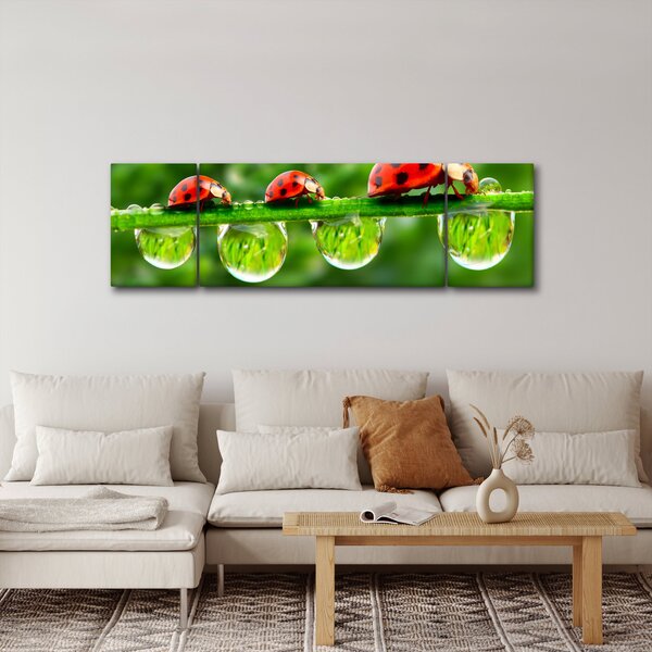 Obraz - Slunéčko sedmitečné (170x50 cm)