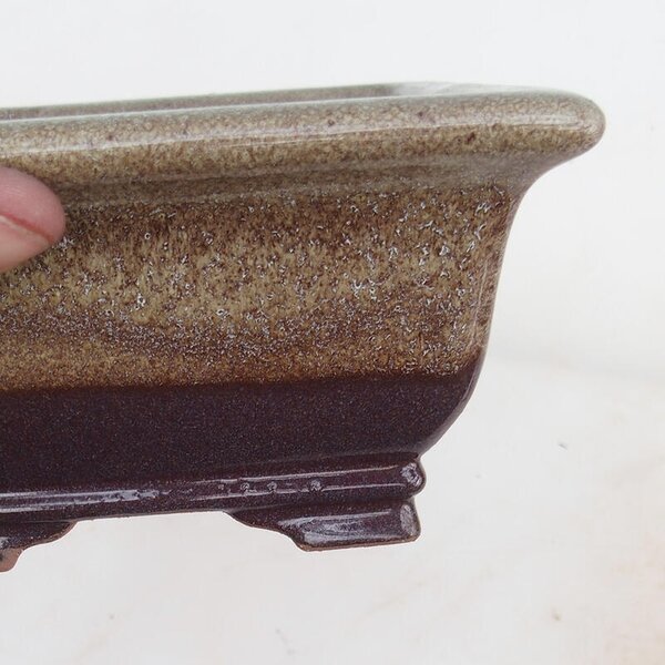 E-bonsai Bonsai miska 15,5 x 15,8 x 8 cm vínovohnědá