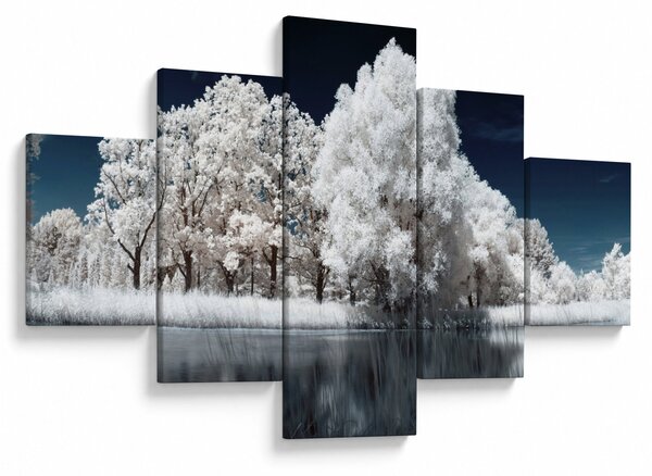 Obraz - Sněhobílé stromy (125x70 cm)