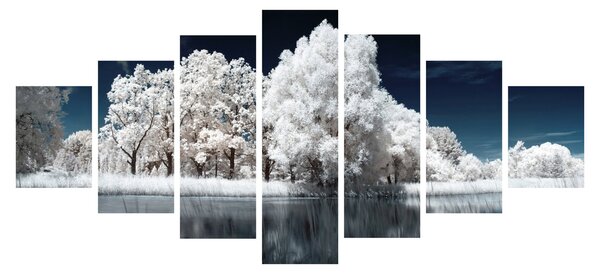 Obraz - Sněhobílé stromy (210x100 cm)