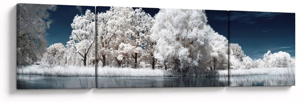 Obraz - Sněhobílé stromy (170x50 cm)