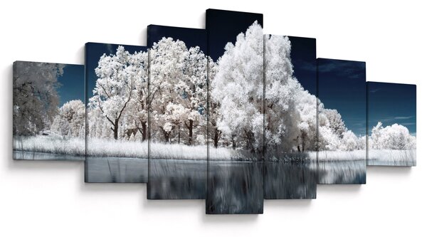 Obraz - Sněhobílé stromy (210x100 cm)