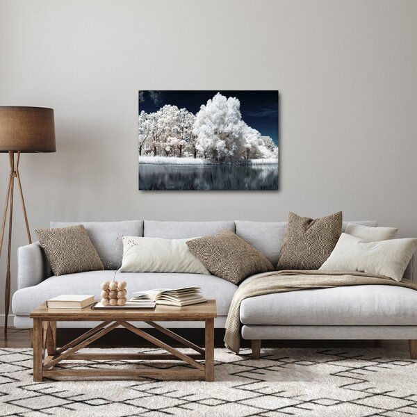 Obraz - Sněhobílé stromy (70x50 cm)