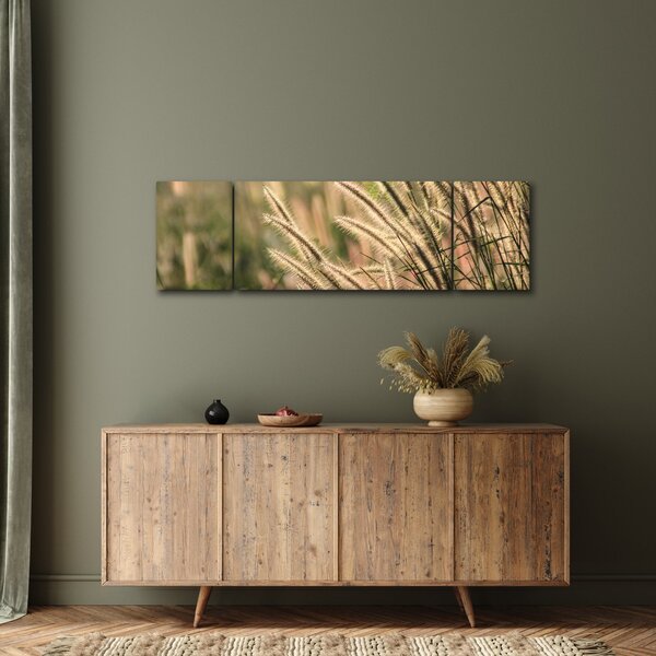 Obraz - Obilí (170x50 cm)