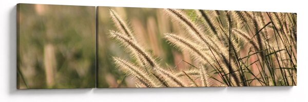 Obraz - Obilí (170x50 cm)