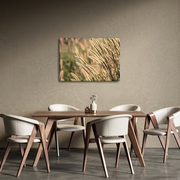Obraz - Obilí (70x50 cm)