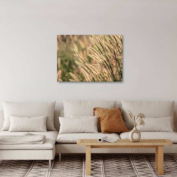 Obraz - Obilí (70x50 cm)