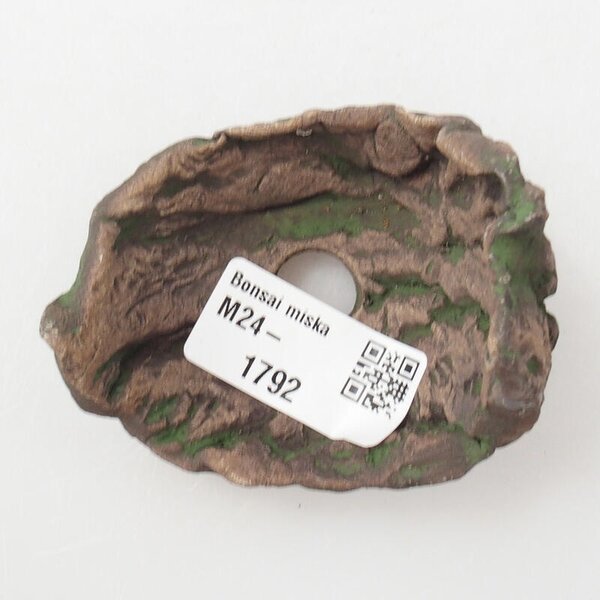 E-bonsai Keramická Skořápka 7 x 6 x 6 cm zelená