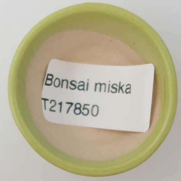 E-bonsai Keramická bonsai miska 4,5 x 4,5 x 2,5 cm zelená