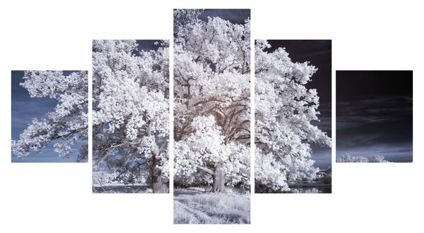 Obraz - Sněhobílý strom (125x70 cm)