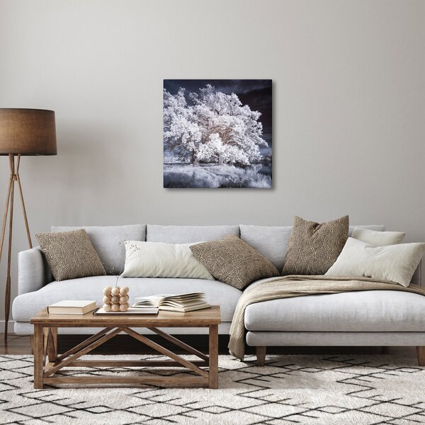 Obraz - Sněhobílý strom (30x30 cm)