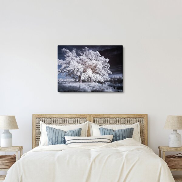 Obraz - Sněhobílý strom (70x50 cm)