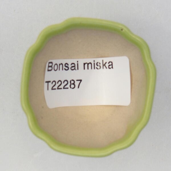 E-bonsai Keramická bonsai miska 5 x 5 x 2,5 cm zelená