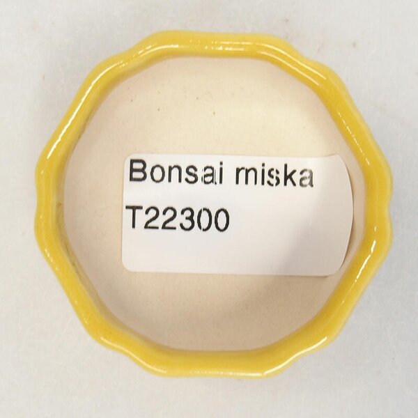 E-bonsai Keramická bonsai miska 5 x 5 x 2 cm žlutá