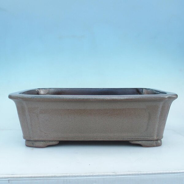 E-bonsai Bonsai miska 51 x 35,5 x 16 cm hnědá -pouze paletová přeprava