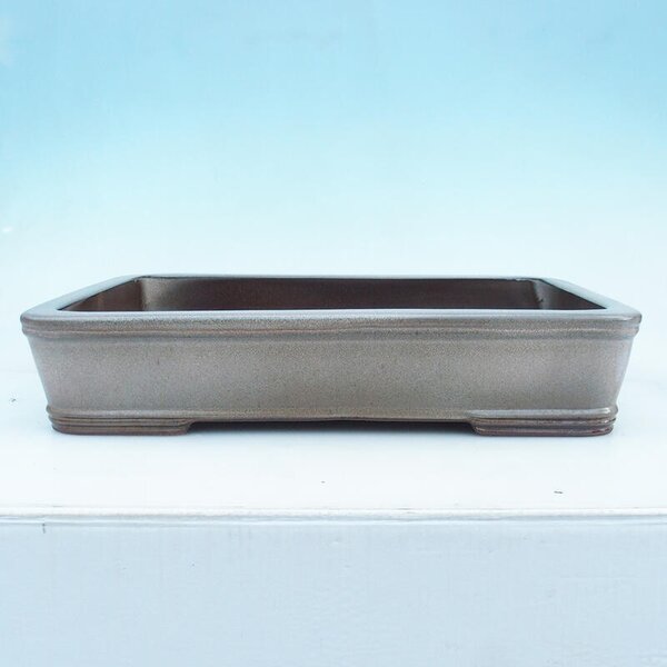 E-bonsai Bonsai miska 51 x 34 x 10,5 cm béžová -pouze paletová přeprava