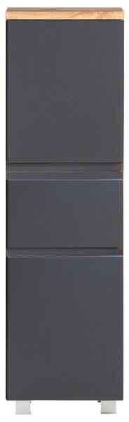 MIDI SKŘÍŇKA, šedá, dub wotan, 40/130/35 cm Held - Úzké skříňky do koupelny, Online Only