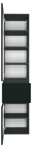 VYSOKÁ SKŘÍŇ, šedá, barvy grafitu, 40/185/35 cm Held - Koupelnové série, Online Only