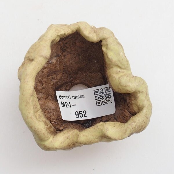 E-bonsai Keramická Skořápka 5 x 5 x 5 cm zelená