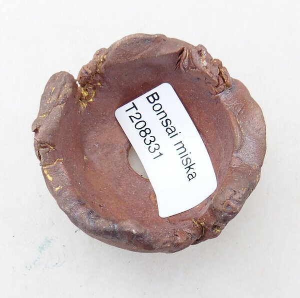 E-bonsai Keramická Skořápka 4,5 x 4,5 x 4 cm režná