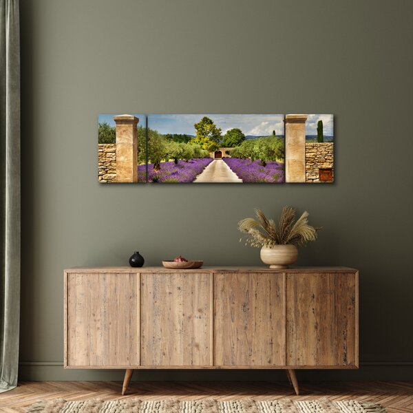 Obraz - Levandulové cesty (170x50 cm)