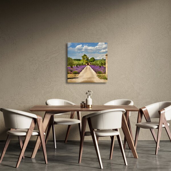 Obraz - Levandulové cesty (30x30 cm)