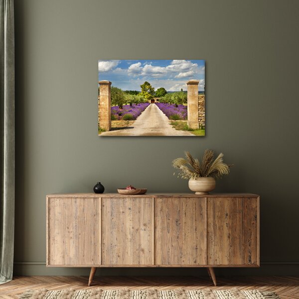 Obraz - Levandulové cesty (70x50 cm)