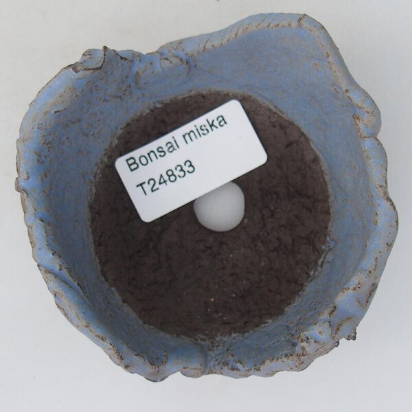 E-bonsai Keramická Skořápka 8,5 x 8,5 x 4,5 cm modrá