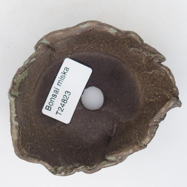 E-bonsai Keramická Skořápka 9 x 8 x 5,5 cm hnědá