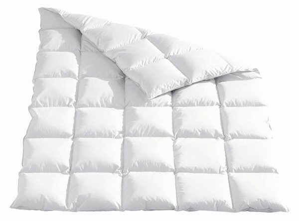 CELOROČNÍ PŘIKRÝVKA, 220/240 cm, kachní prachové peří, kachní peří Sleeptex - Přikrývky, Online Only