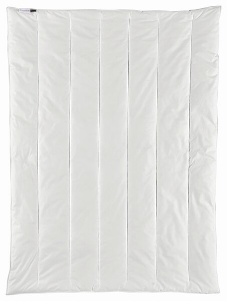 CELOROČNÍ PŘIKRÝVKA, 200/200 cm, polyester Centa-Star - Přikrývky, Online Only