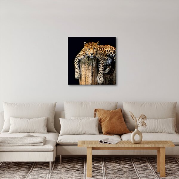 Obraz - Gepard (30x30 cm)