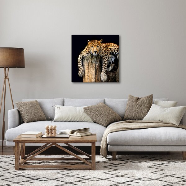 Obraz - Gepard (30x30 cm)