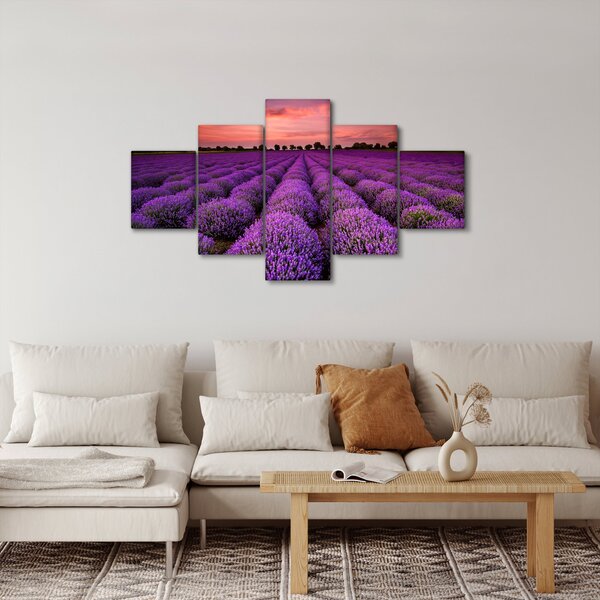 Obraz - Levandulové pole (125x70 cm)